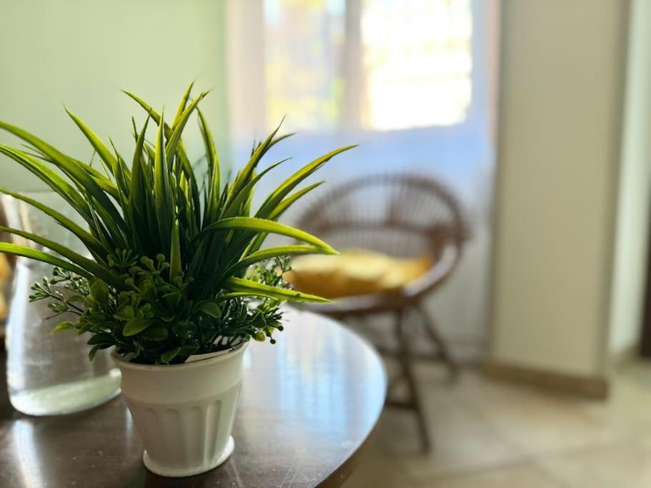基亚拉瓦莱Casa Nel Verde - 4 Posti Letto公寓 外观 照片